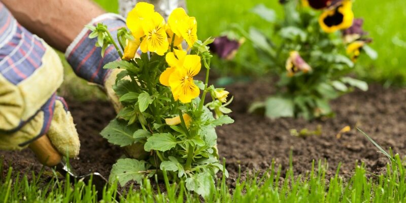 Jardinage Autonium Jardinage Autonium